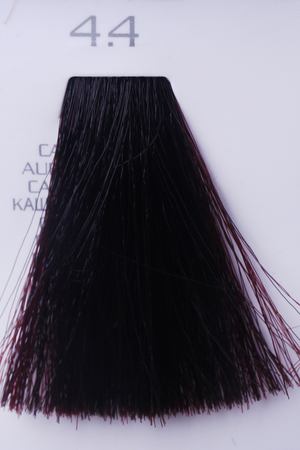HAIR COMPANY 4.4 краска для волос / HAIR LIGHT CREMA COLORANTE 100 мл Hair Company LB10240