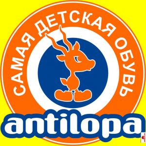 Antilopa.jpg