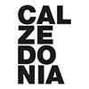 calzedonia_125.jpg