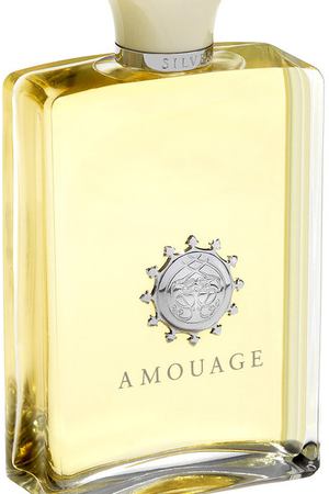 Одеколон Silver Amouage Amouage 31095 вариант 2 купить с доставкой