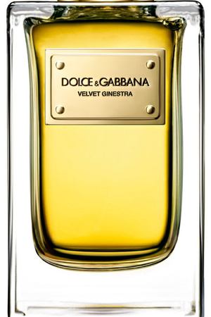 Парфюмерная вода Velvet Collection Ginestra Dolce & Gabbana Dolce & Gabbana 730870159835