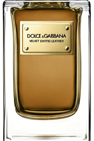 Парфюмерная вода Velvet Collection Leather Dolce & Gabbana Dolce & Gabbana 737052968025