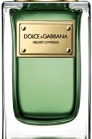 Парфюмерная вода Velvet Cypress Dolce & Gabbana Dolce & Gabbana 730870225424