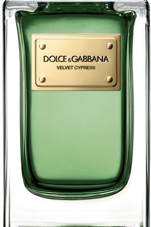 Парфюмерная вода Velvet Cypress Dolce & Gabbana Dolce & Gabbana 730870225509