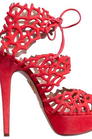 Босоножки Charlotte Olympia Charlotte Olympia GOODNES REEF/коралл вариант 2