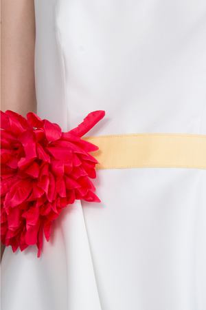 Расклешенное платье Carolina Herrera Carolina Herrera 5281TEM Белый Синий Красный Цветок купить с доставкой