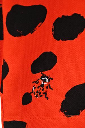 Спортивный костюм Ladybird Dots из двух деталей Molo 23825