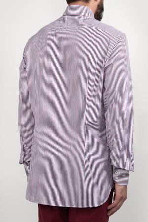 Рубашка хлопковая Van Laack Van Laack 161822/006 купить с доставкой