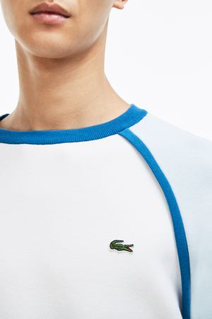 Свитер Lacoste Lacoste 128349 купить с доставкой