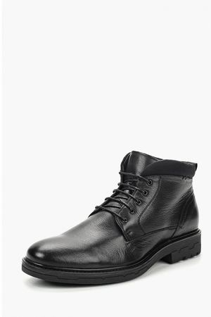 Ботинки Just Couture Just Couture 8JC.JJ74603.F