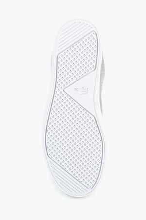 Кеды Lacoste Lacoste 736CAW003819L