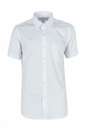 Рубашка Stenser Stenser 21792 купить с доставкой