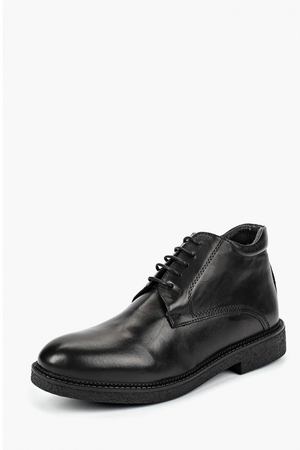 Ботинки Pierre Cardin Pierre Cardin 57816