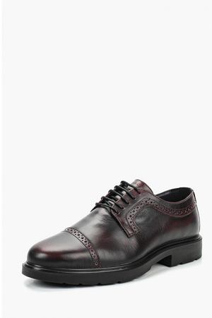Туфли Igi&Co Igi&Co 26346