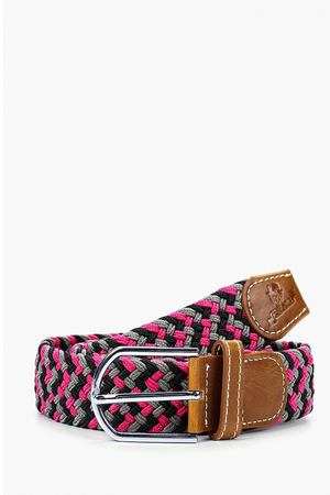 Ремень Churchill accessories Churchill Accessories 20919