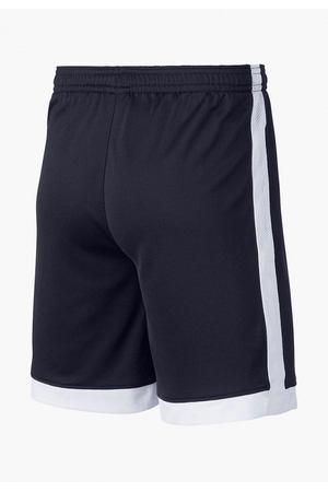 Шорты спортивные Nike Nike AO0771-451 вариант 2 купить с доставкой