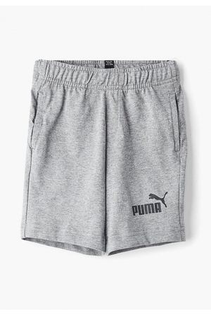 Шорты спортивные PUMA Puma 85443703