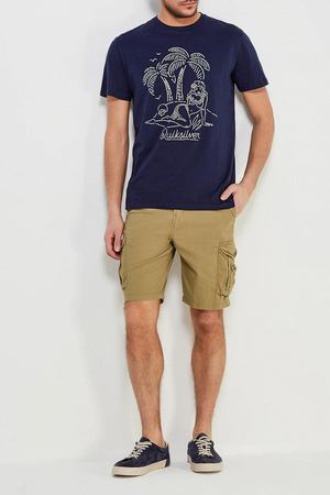 Шорты Quiksilver Quiksilver EQYWS03456