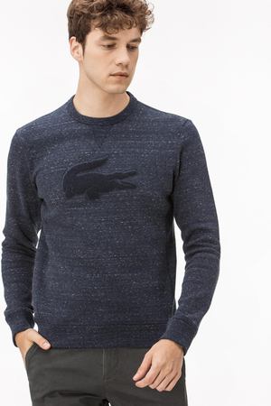 Толстовка Lacoste Lacoste 25256 купить с доставкой