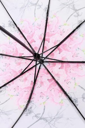 Зонт складной Ted Baker London TED BAKER 148975 вариант 2 купить с доставкой