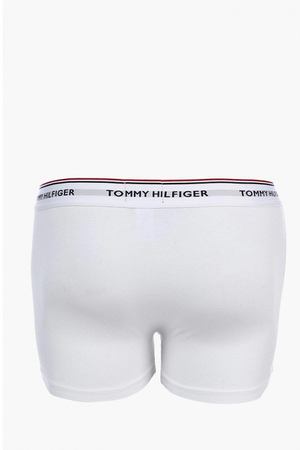 Комплект Tommy Hilfiger Tommy Hilfiger 1U87903842 купить с доставкой