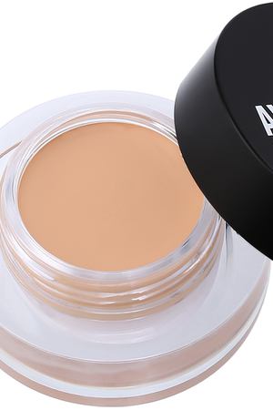 AVANT scene Корректор универсальный, №22 / Hidden Spot Concealer 3 г AVANT-scène 3920822 вариант 2